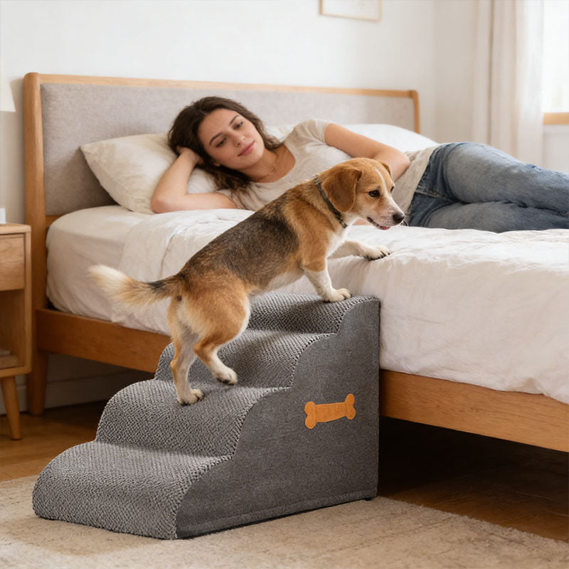 Schodki dla psa na kanapę i łóżko