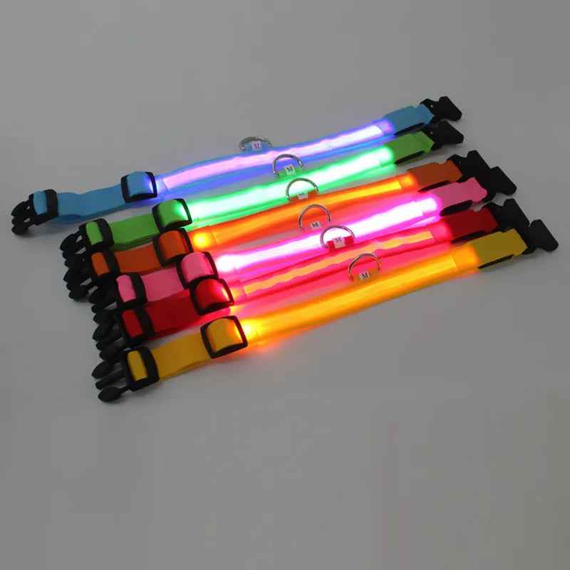 Neonowa obroża LED dla psa bezpiecznej po zmroku!